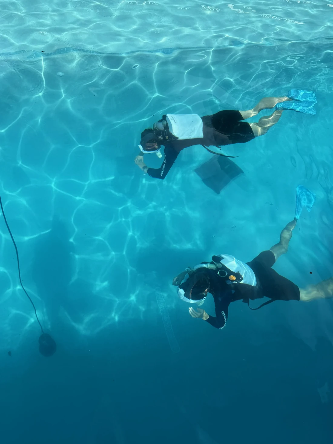 Two divers swimming together wearing Pneuma units