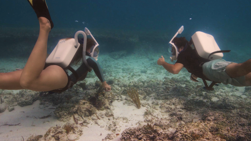 mariah and jaimie under water together mariah and jaimie under water together